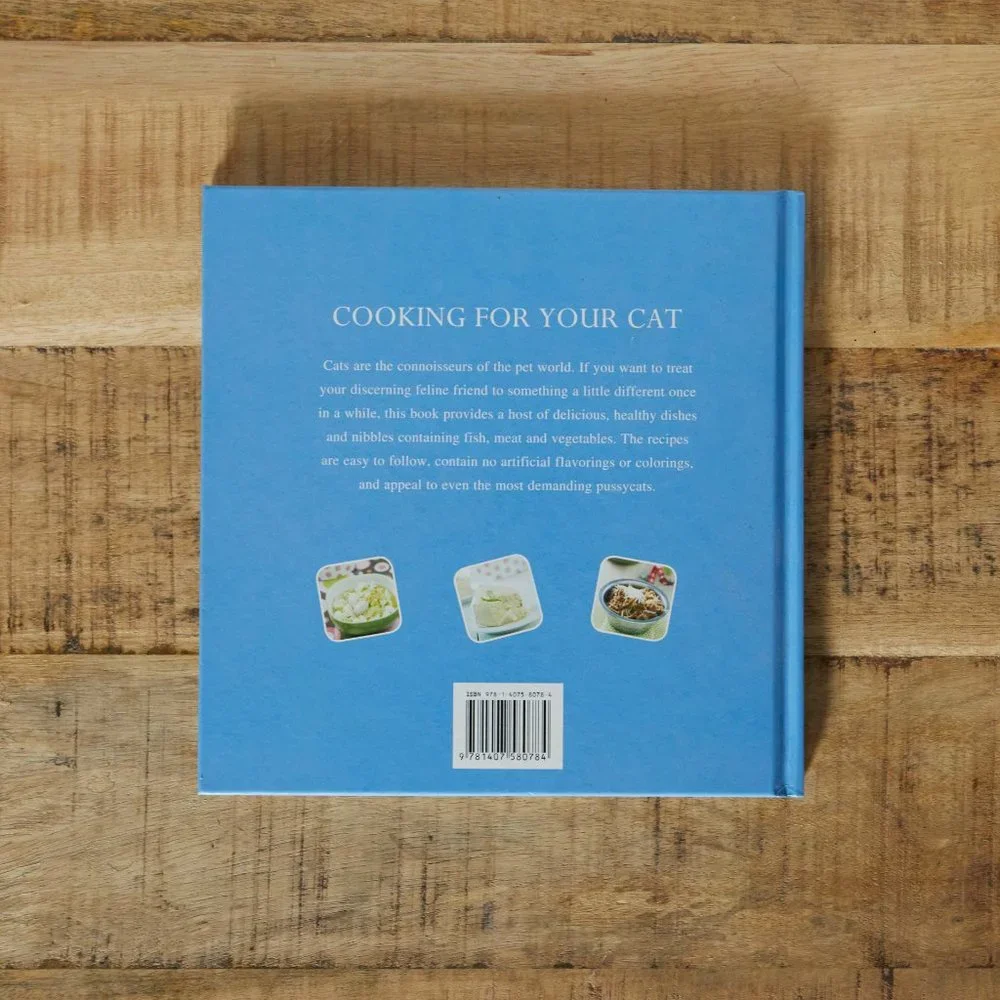 Cooking For Your Cat Cookbook + Tall Ceramic Food Dish NWOT